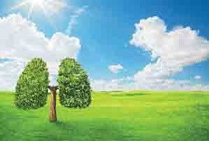 air quality test
